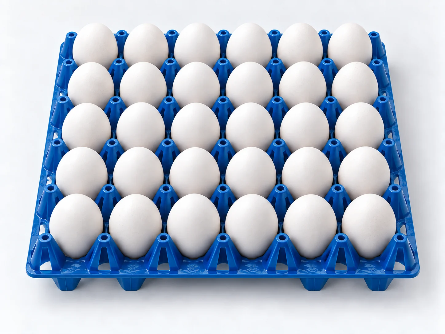 Cartón de treinta huevos blancos sobre separador azul