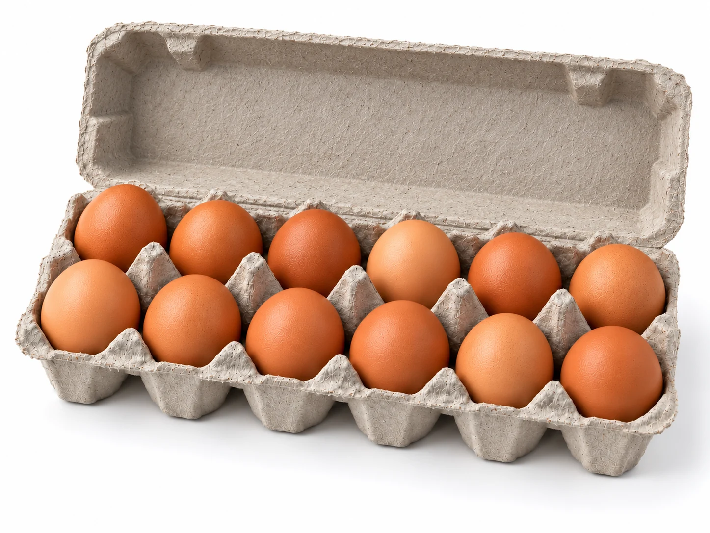 Doce huevos marrones en estuche de pulpa gris con tapa
