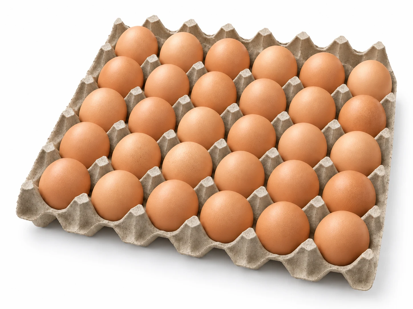 Treinta huevos marrones en cinco filas de seis sobre cartón de pulpa gris